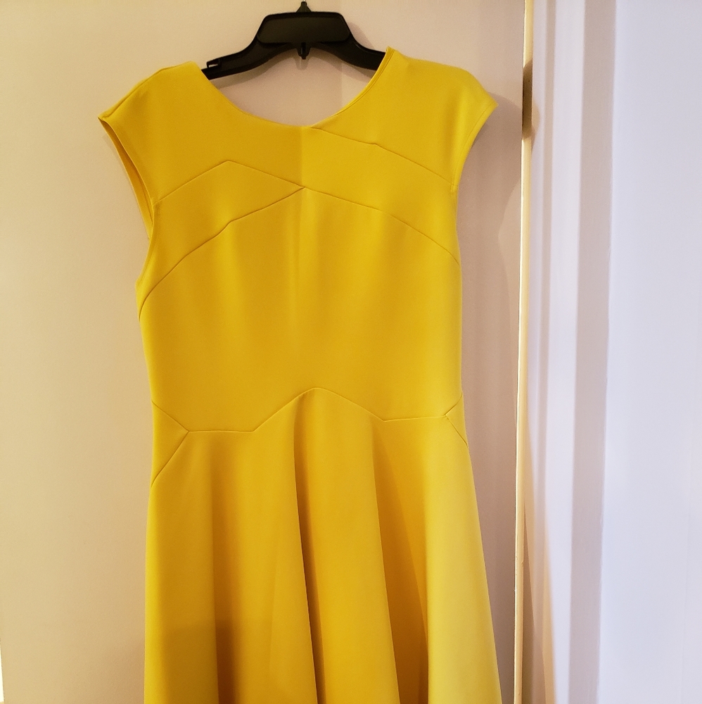 Ted Baker Dress
